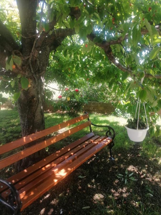 Apartment Ferara Betina  Dış mekan fotoğraf